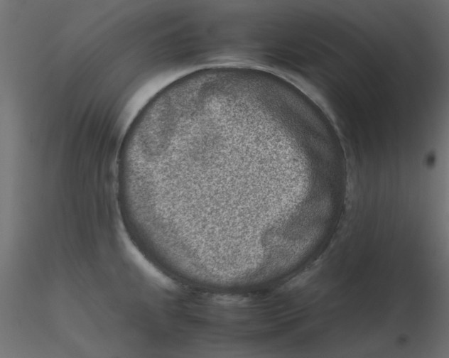 X0000116601239200912312050