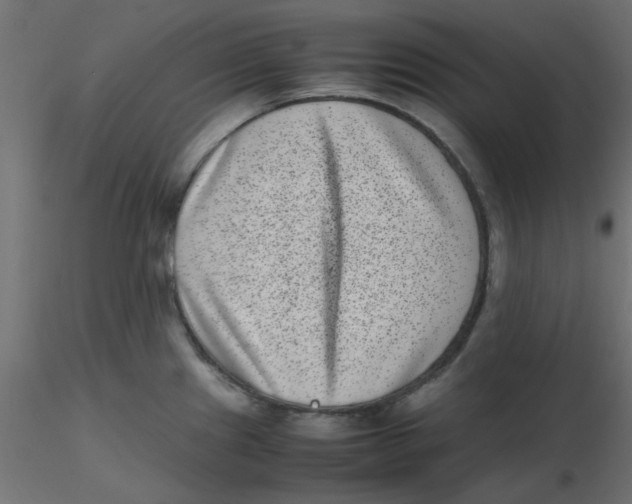 X0000116601241200912312050