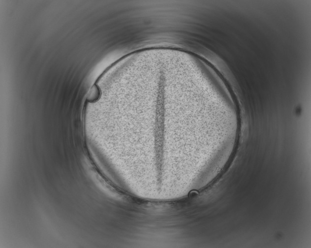 X0000116601242200912312050