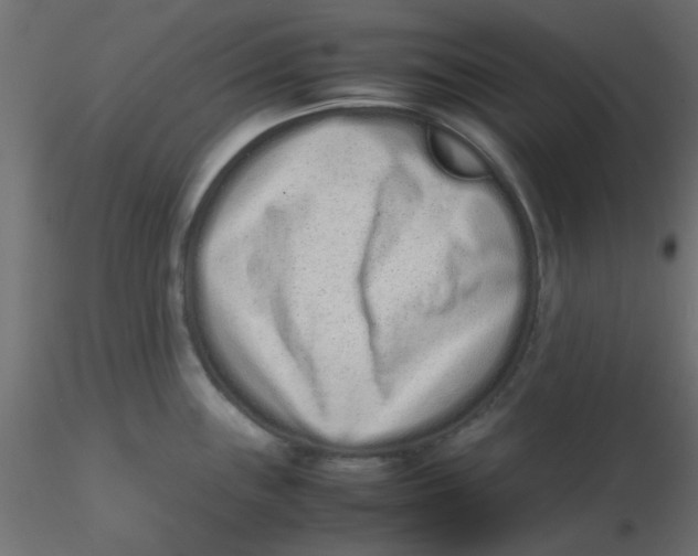 X0000116601243200912312050