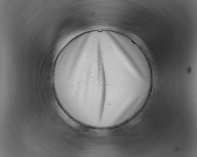 X0000116601244200912312050