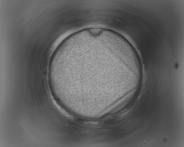 X0000116601245200912312050