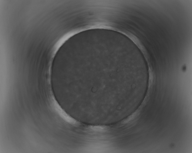 X0000116601246200912312050