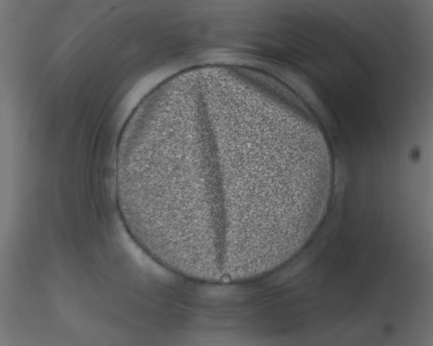 X0000116601247200912312050