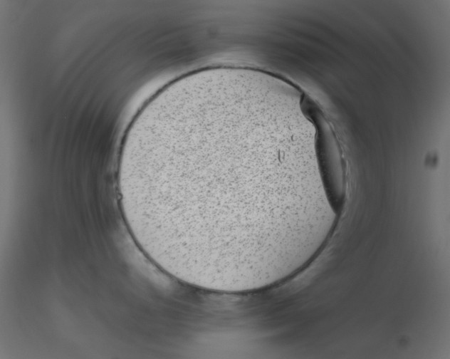 X0000116601248200912312050