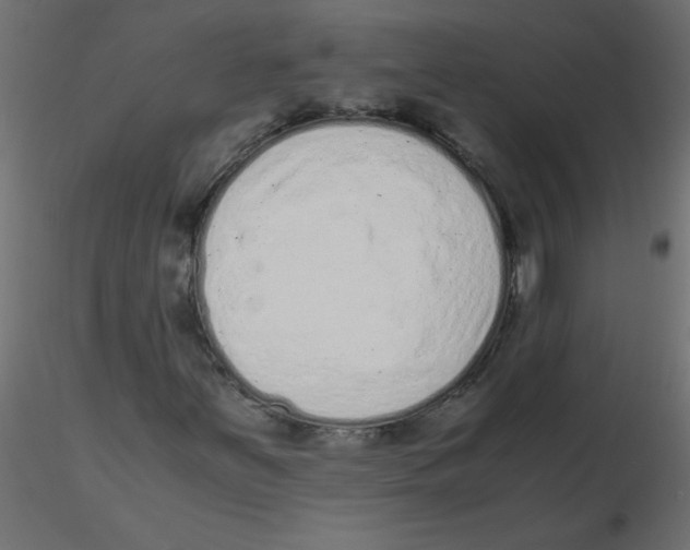 X0000116601251200912312050