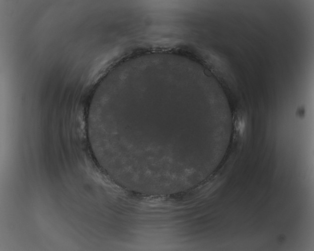 X0000116601252200912312050