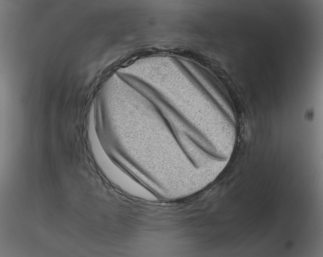 X0000116601253200912312050