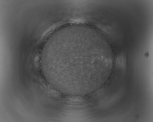 X0000116601254200912312050