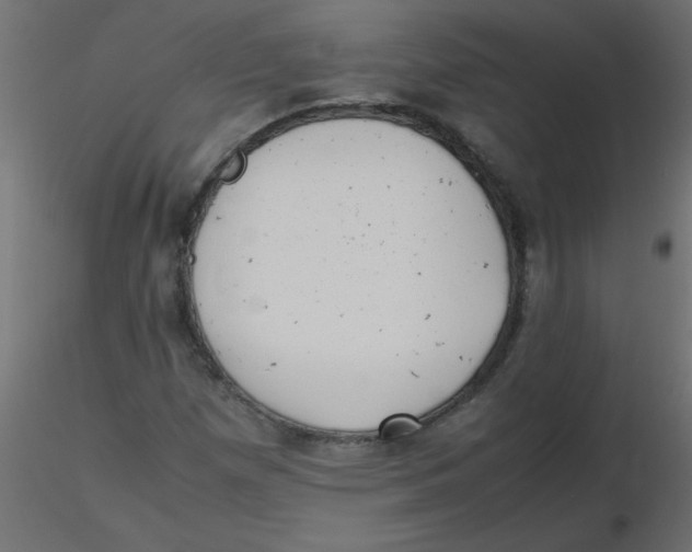 X0000116601257200912312049