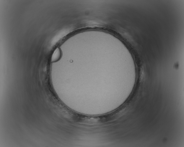 X0000116601261200912312049