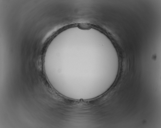 X0000116601262200912312049