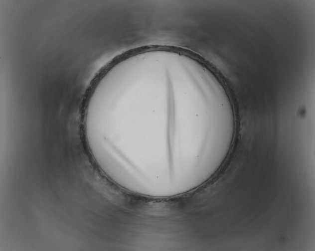 X0000116601264200912312049