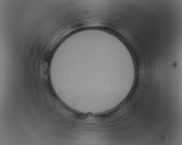 X0000116601265200912312049