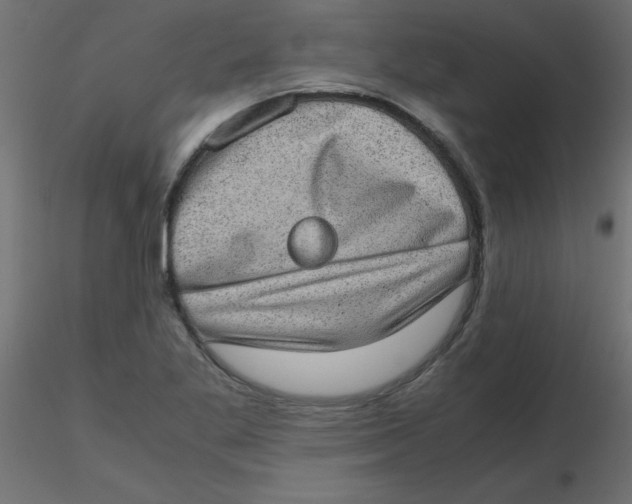 X0000116601269200912312049