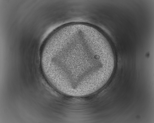 X0000116601270200912312049