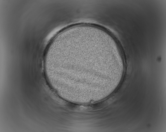 X0000116601271200912312049