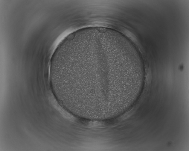 X0000116601275200912312049