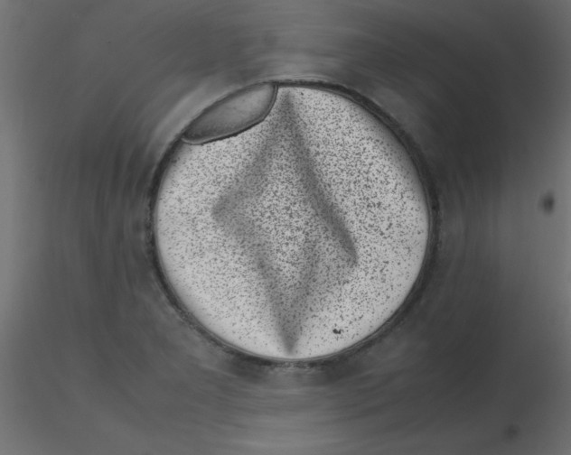 X0000116601277200912312049