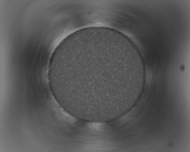 X0000116601278200912312049