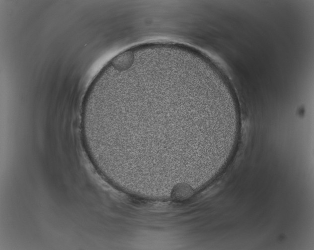 X0000116601279200912312049