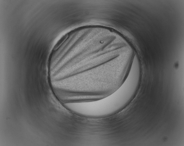 X0000116601280200912312049