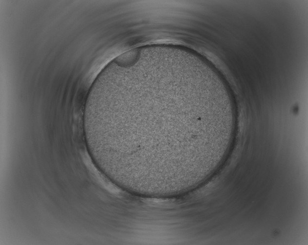 X0000116601281200912312049