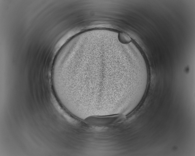 X0000116601282200912312049