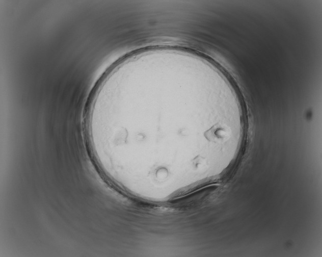 X0000116601283200912312049