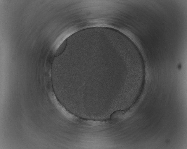 X0000116601289200912312049