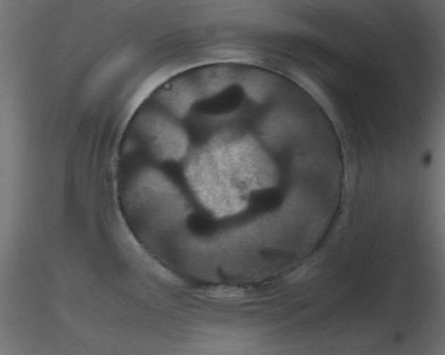 X0000116601291200912312049