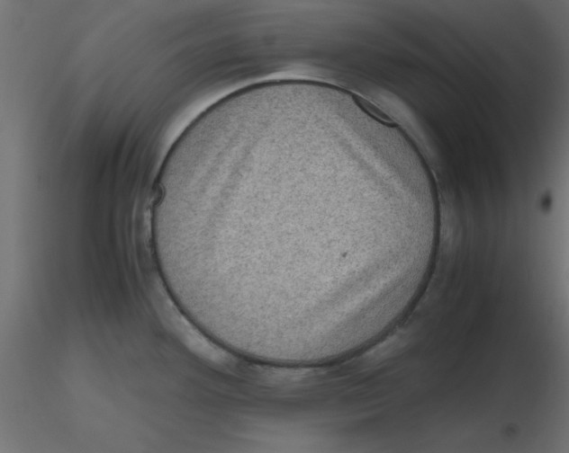 X0000116601292200912312049