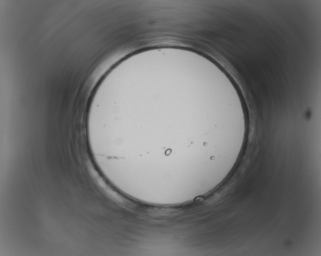 X0000116601293200912312049