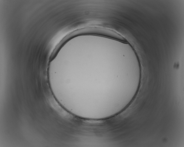 X0000116601296200912312049