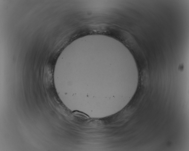 X0000116601298200912312048