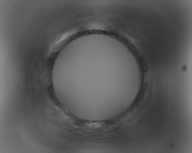 X0000116601303200912312048