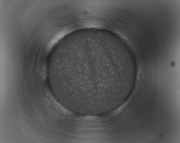 X0000116601306200912312048