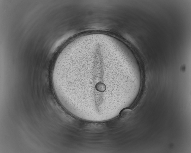 X0000116601307200912312048