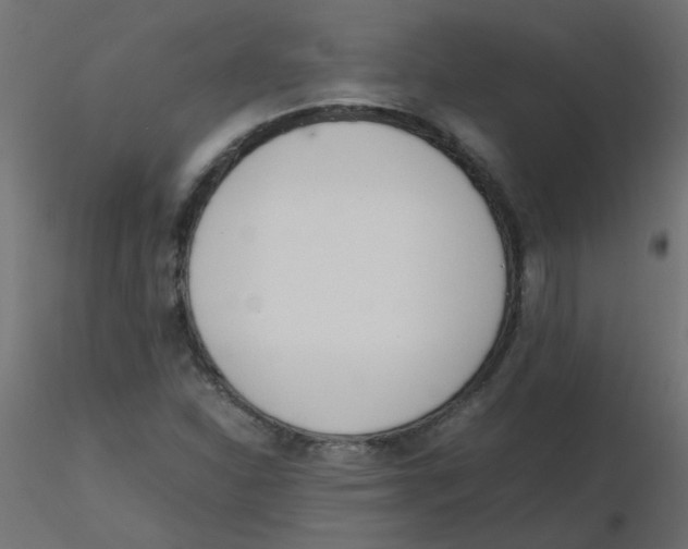 X0000116601310200912312048