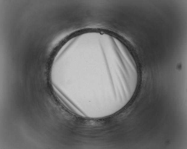 X0000116601311200912312048