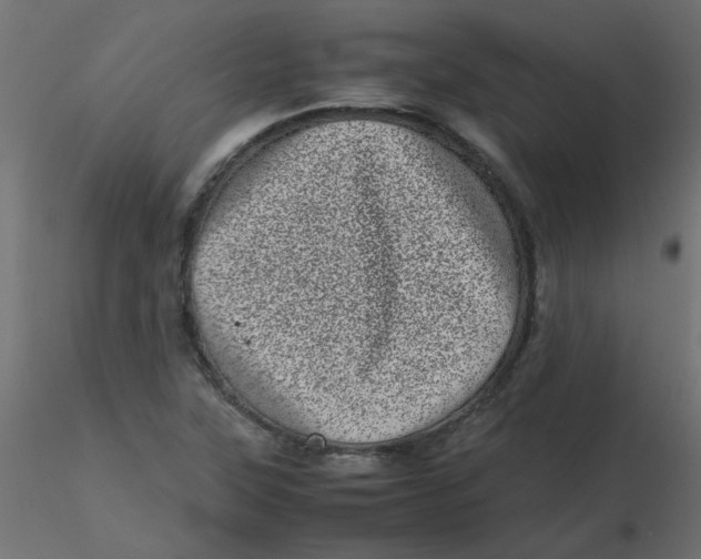 X0000116601315200912312049