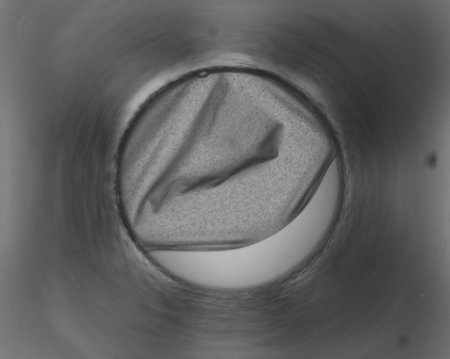 X0000116601326200912312049