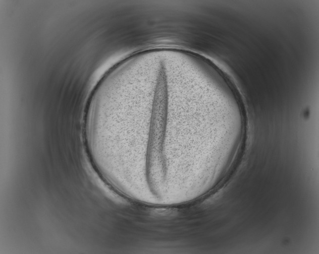 X0000116601333200912312049