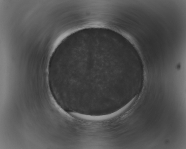 X0000116601334200912312049