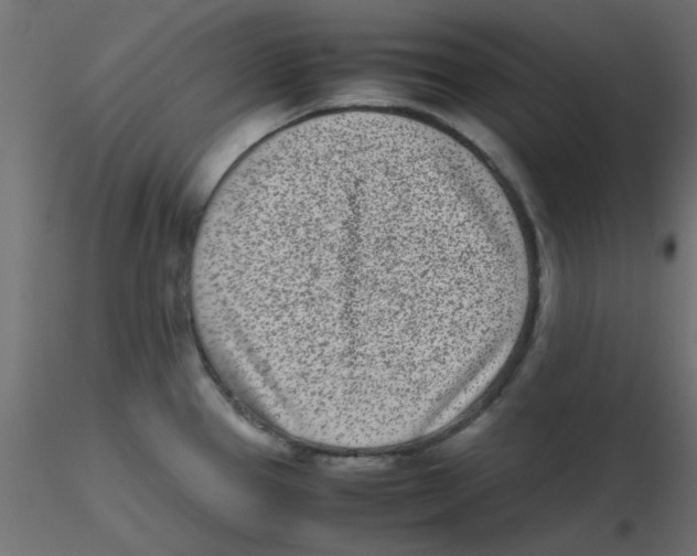 X0000116601337200912312049