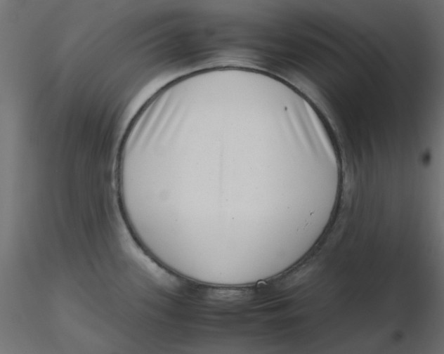 X0000116601339200912312049