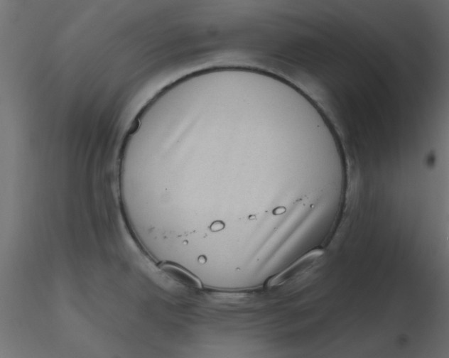 X0000116601342200912312049