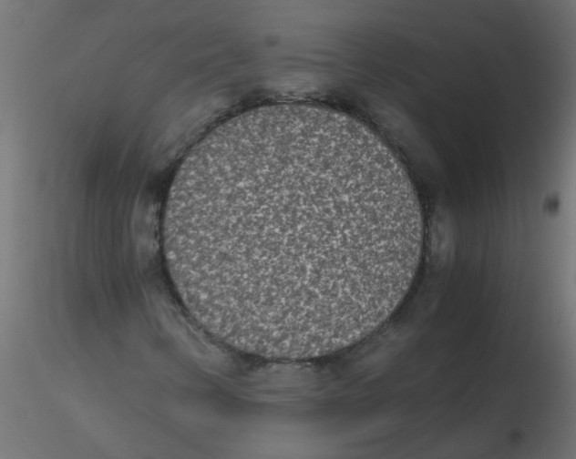 X0000116601346200912312048