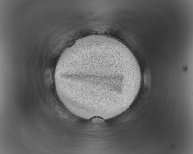 X0000116601347200912312048