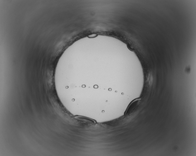 X0000116601348200912312048